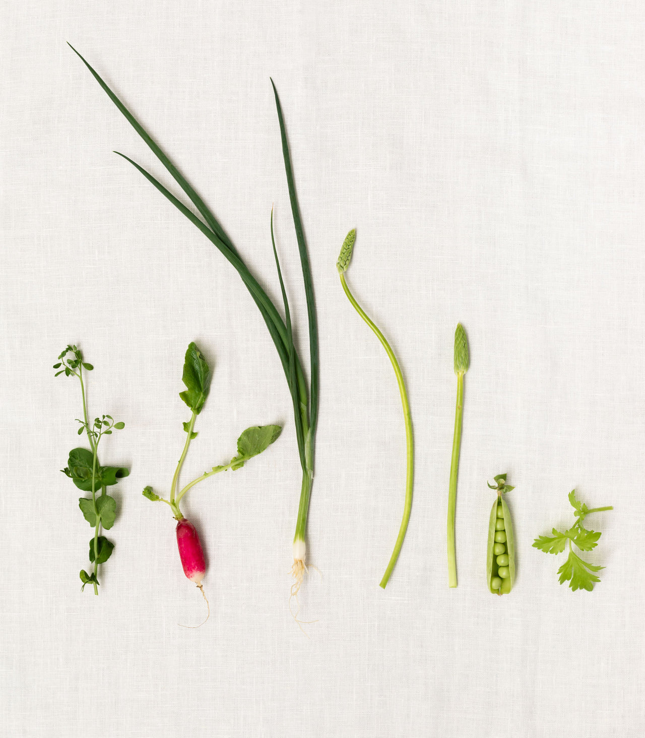 Optimale Nährstoffversorgung für Veganer: 9 Schlüsselnährstoffe im Fokus Optimale Nährstoffversorgung für Veganer: 9 Schlüsselnährstoffe im Fokus