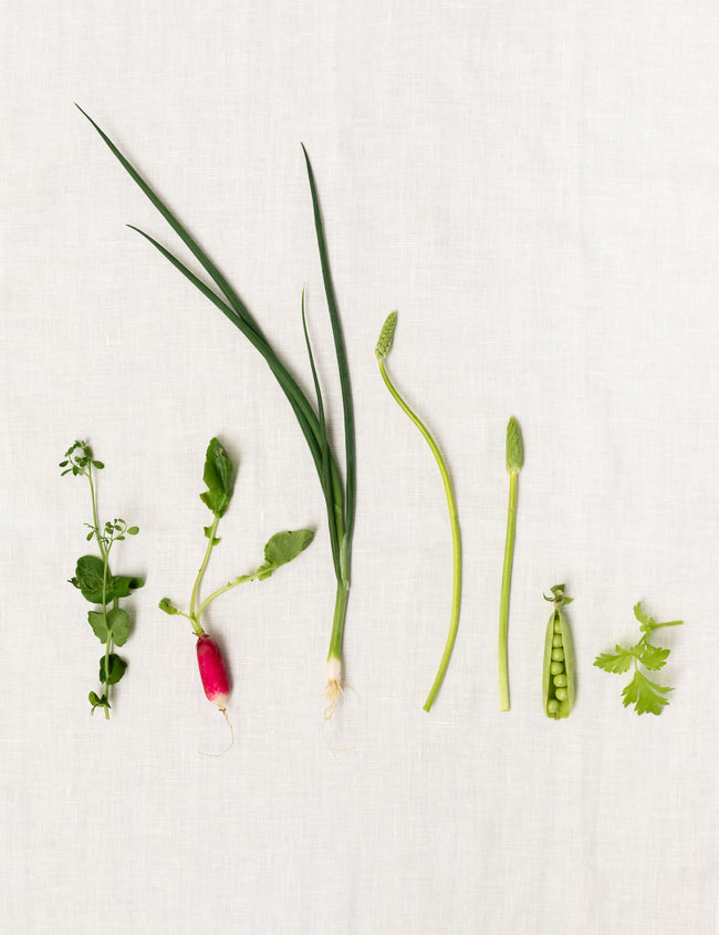 Optimale Nährstoffversorgung für Veganer: 9 Schlüsselnährstoffe im Fokus Optimale Nährstoffversorgung für Veganer: 9 Schlüsselnährstoffe im Fokus