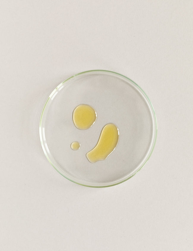 Omega-3-Fettsäuren zur Steigerung der Mikronährstoffaufnahme? Omega-3-Fettsäuren zur Steigerung der Mikronährstoffaufnahme?