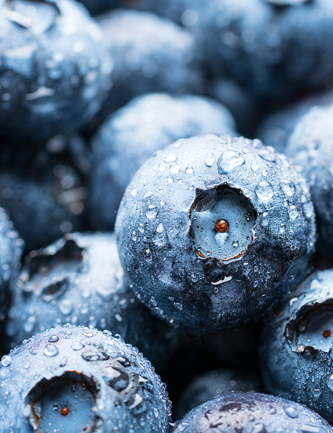 Oxidativer Stress, Antioxidantien und Aging - eine komplizierte Dreiecksbeziehung Oxidativer Stress, Antioxidantien und Aging - eine komplizierte Dreiecksbeziehung