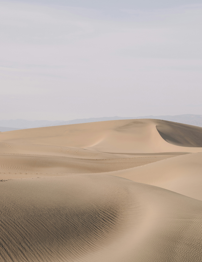 Ganzheitlich gegen Osteoporose  Ganzheitlich gegen Osteoporose