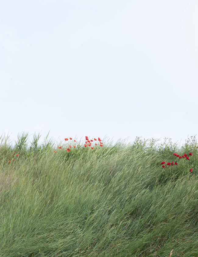 Frühling: Zeckenzeit und Gesundheitsrisiken Frühling: Zeckenzeit und Gesundheitsrisiken