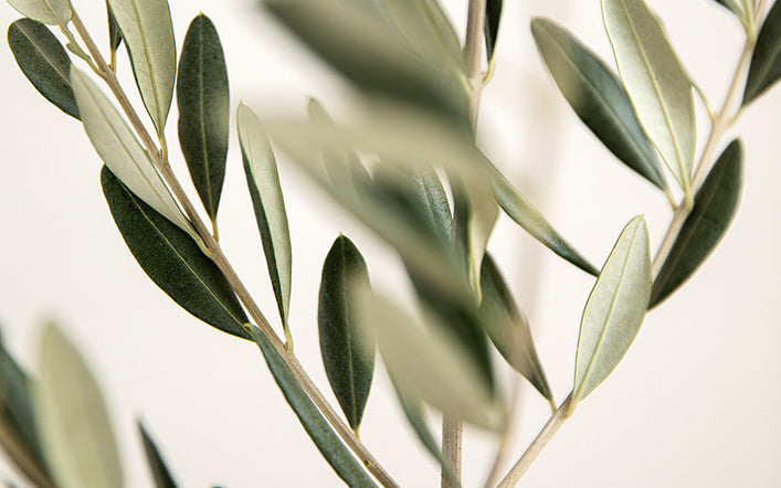 Nahrungsergänzungen, Vitamine, Kräuter Nahrungsergänzungen, Vitamine, Kräuter