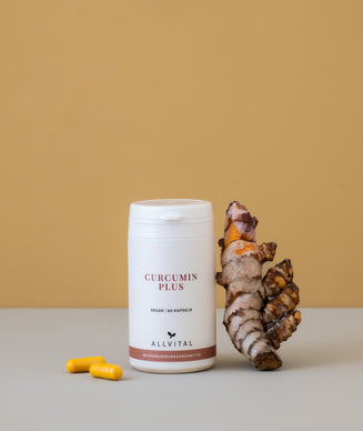 Curcumin Plus Curcumin Plus
