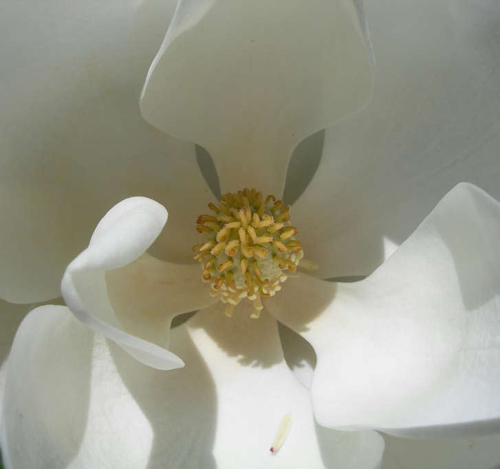 10 Tipps für gesunde Schleimhäute 10 Tipps für gesunde Schleimhäute