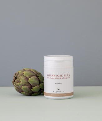 Galaktose Plus Galaktose Plus