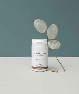 Phyto Clean Phyto Clean