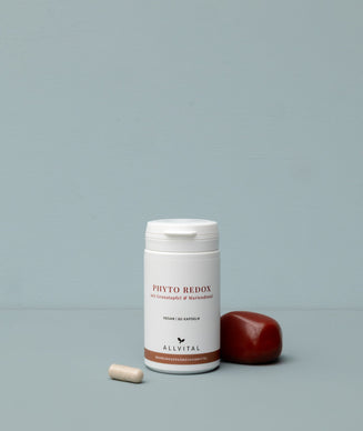 Phyto Redox Phyto Redox