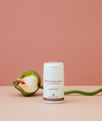 Phyto Balance Phyto Balance