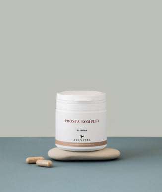 Prosta Komplex Prosta Komplex