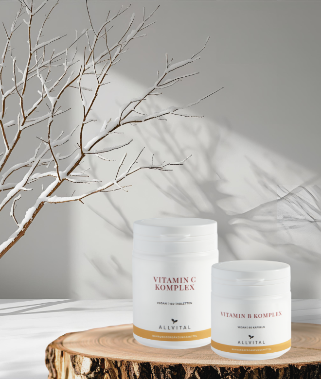 Winter Basic Bundle Winter Basic Bundle