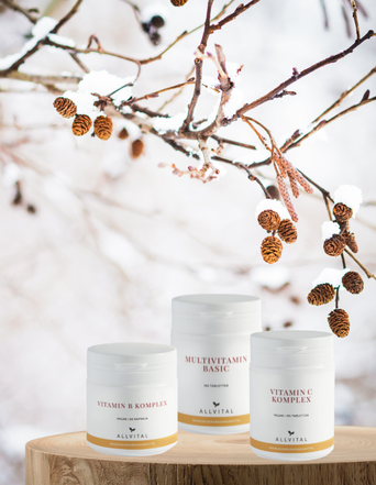 Winter Plus Bundle Winter Plus Bundle