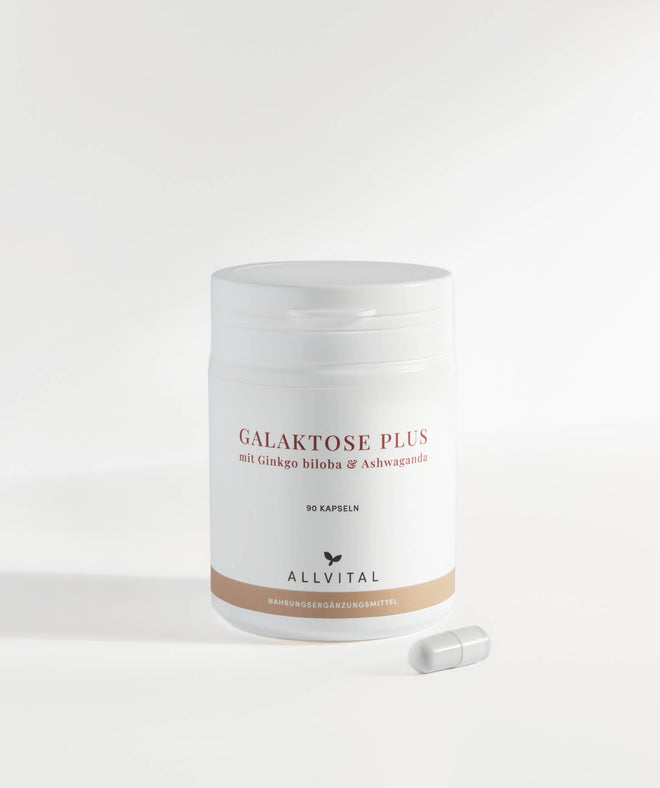 Allvital Galaktose Plus in Kombination mit B-Vitaminen und ganzheitlichem Kräuterkomplex mit Ginkgo biloba und Ashwaganda. Für ein gesundes Nervensystem und eine gesunde Psyche. Allvital Galaktose Plus in Kombination mit B-Vitaminen und ganzheitlichem Kräuterkomplex mit Ginkgo biloba und Ashwaganda. Für ein gesundes Nervensystem und eine gesunde Psyche.