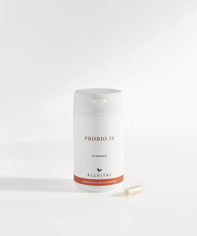 Allvital ProBio 14 enthält 14 natürlichen Bakterienkulturen (Laktobazillen und Bifidobakterien) und Präbiotika zur Unterstützung einer gesunden Darmflora. Allvital ProBio 14 enthält 14 natürlichen Bakterienkulturen (Laktobazillen und Bifidobakterien) und Präbiotika zur Unterstützung einer gesunden Darmflora.