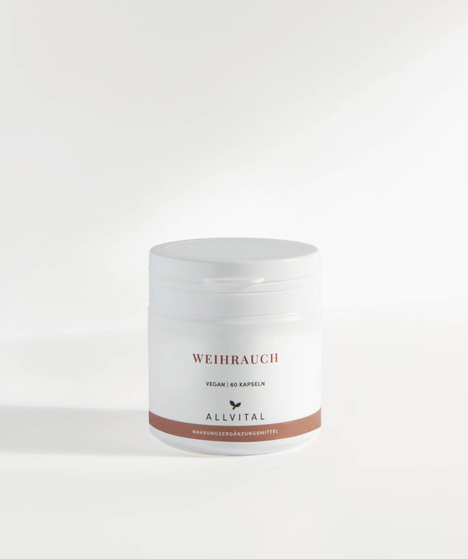 Allvital Weihrauch vegan enthält Boswellia Serrata (Indischer Weihrauch)-Extrakt mit 85% Boswelliasäuren. Ein seit der Antike eingesetztes Heilmittel. Allvital Weihrauch vegan enthält Boswellia Serrata (Indischer Weihrauch)-Extrakt mit 85% Boswelliasäuren. Ein seit der Antike eingesetztes Heilmittel.