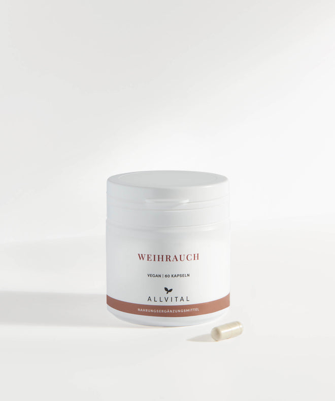 Allvital Weihrauch vegan enthält Boswellia Serrata (Indischer Weihrauch)-Extrakt mit 85% Boswelliasäuren. Ein seit der Antike eingesetztes Heilmittel. Allvital Weihrauch vegan enthält Boswellia Serrata (Indischer Weihrauch)-Extrakt mit 85% Boswelliasäuren. Ein seit der Antike eingesetztes Heilmittel.