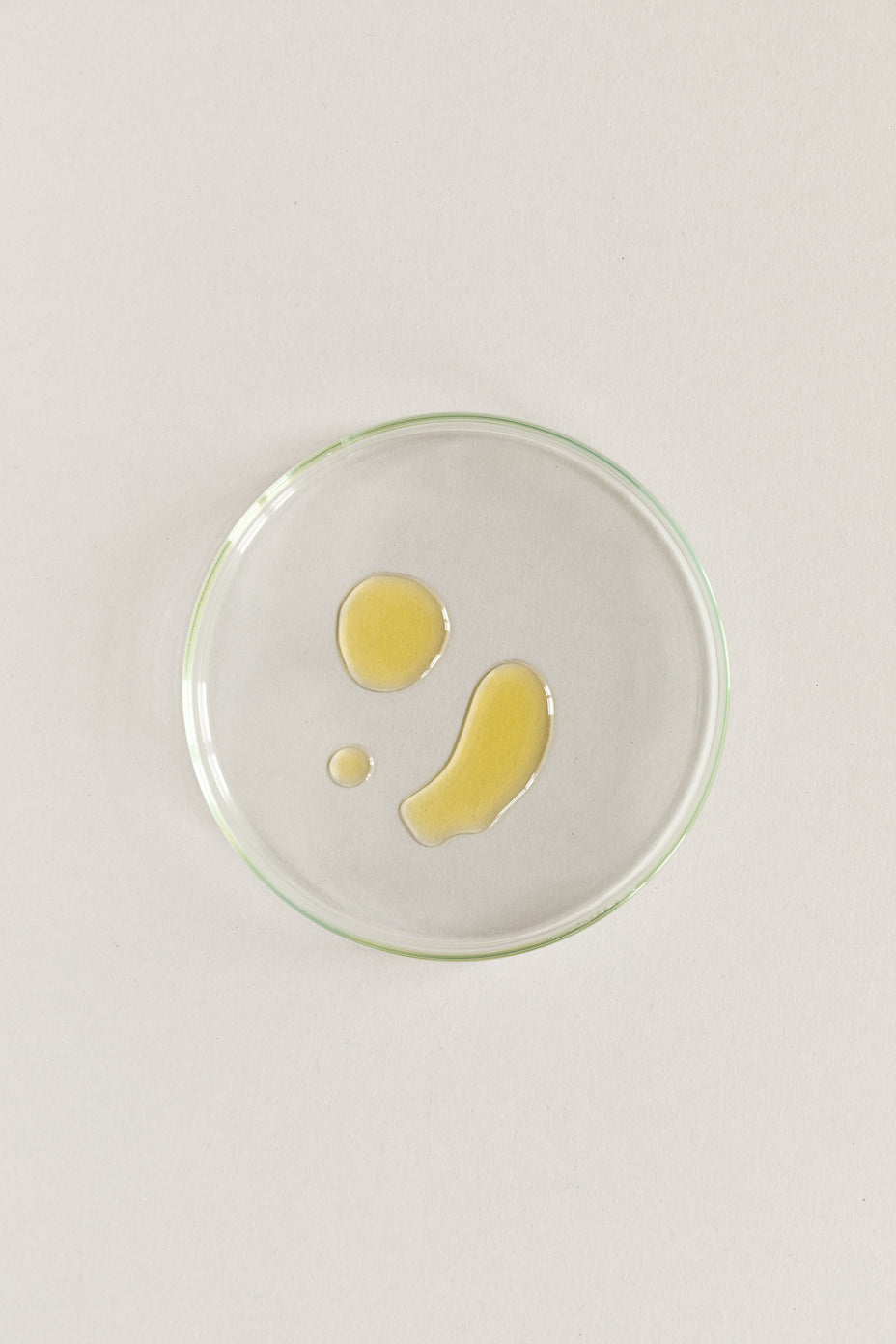 Omega-3 fatty acids to increase micronutrient absorption?