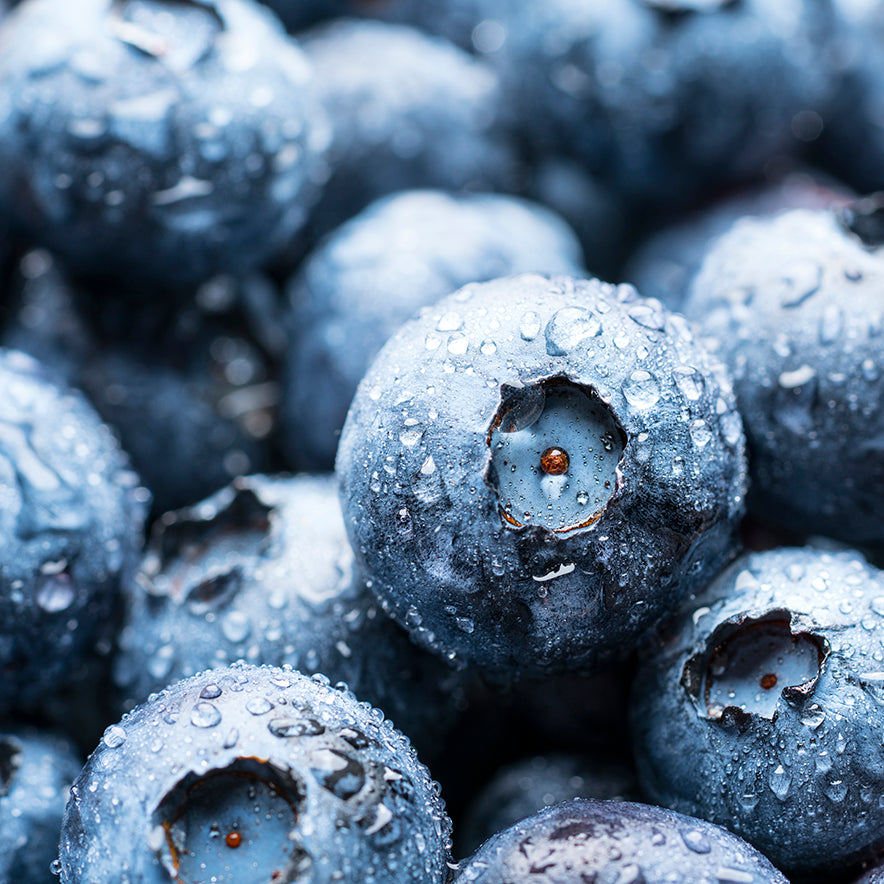 Oxidative stress, antioxidants and aging - a complicated triangular relationship