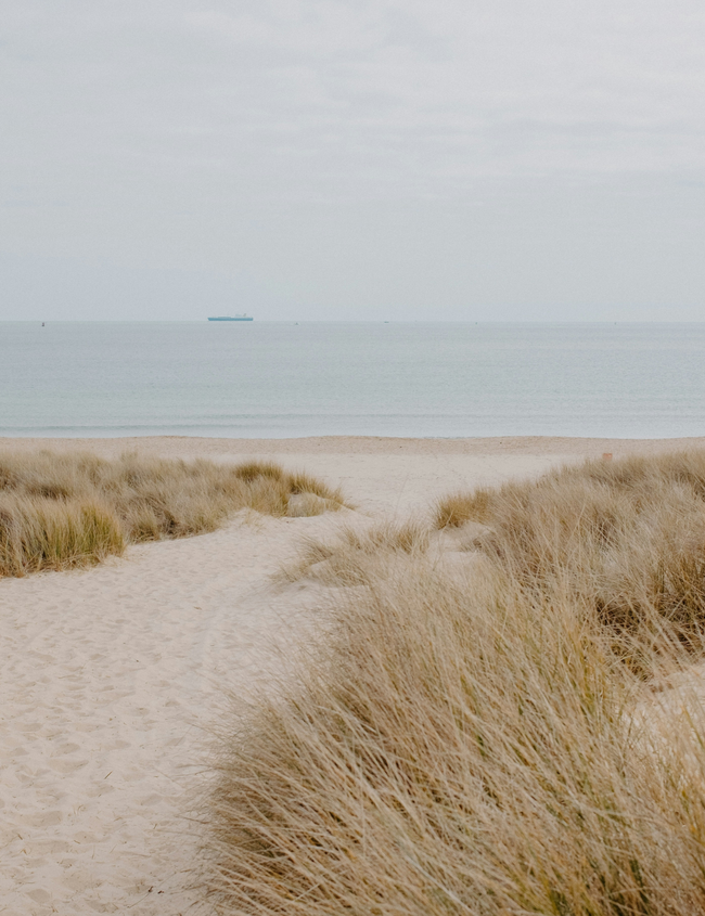 Cholesterinwerte verstehen und natürlich senken (Teil 2)