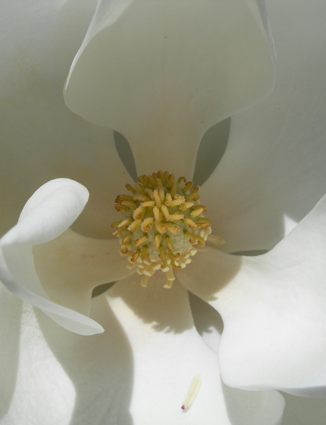 10 Tipps für gesunde Schleimhäute