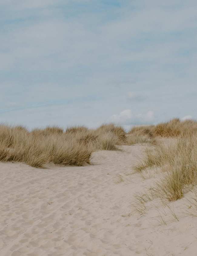 Cholesterinwerte verstehen und natürlich senken (Teil 1)