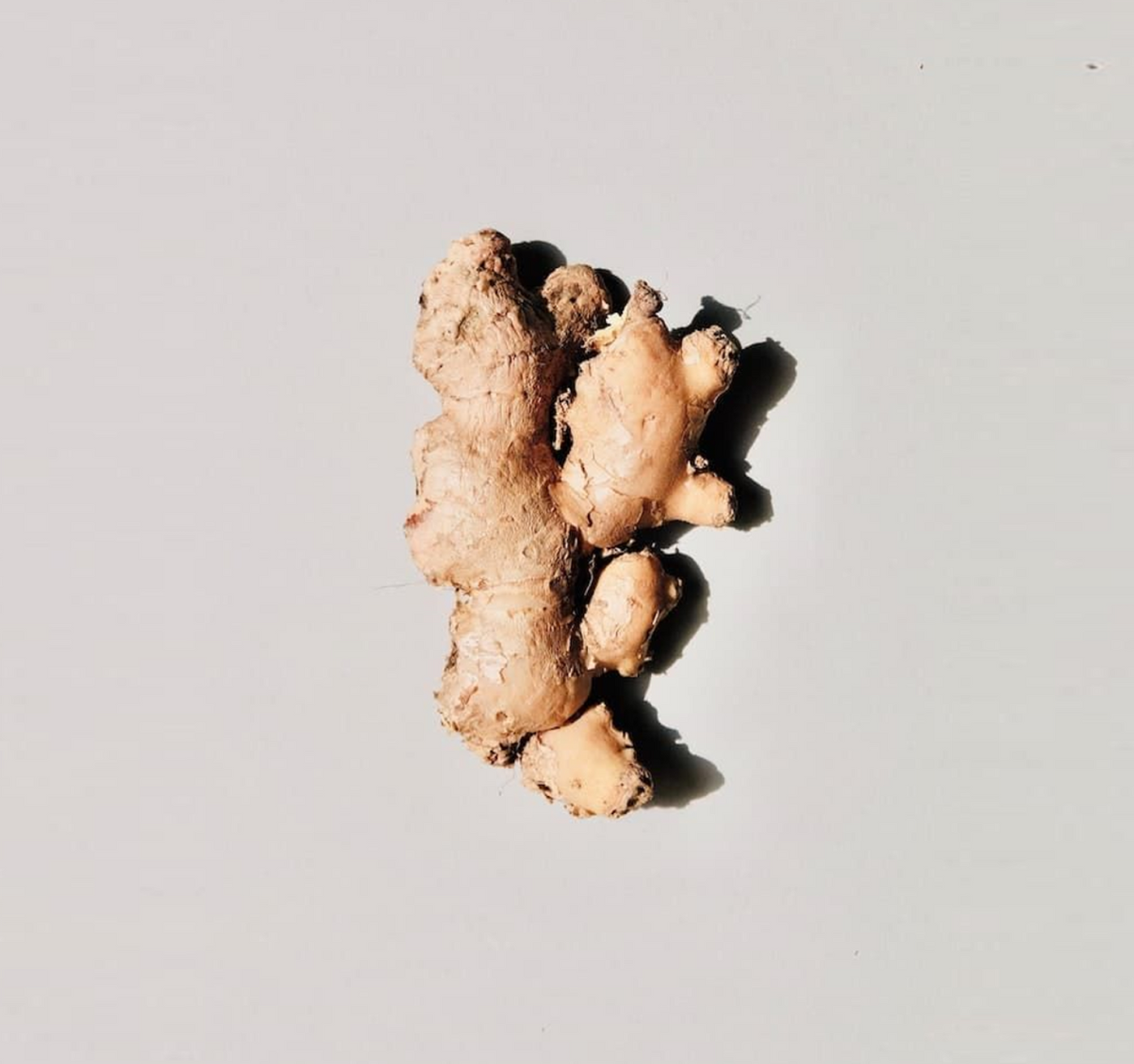 The liver – the multi-talent of our body