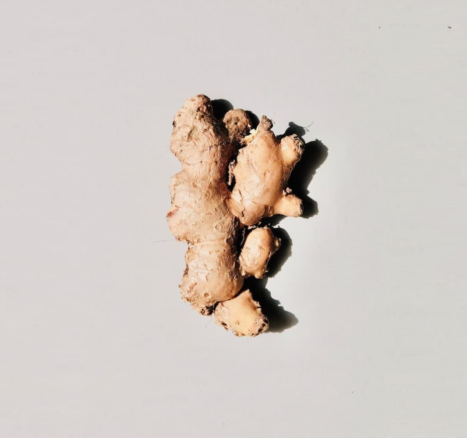The liver – the multi-talent of our body