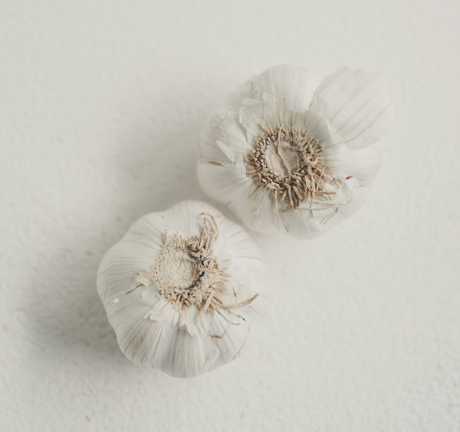 Parasites in the body: How to recognise and treat them holistically