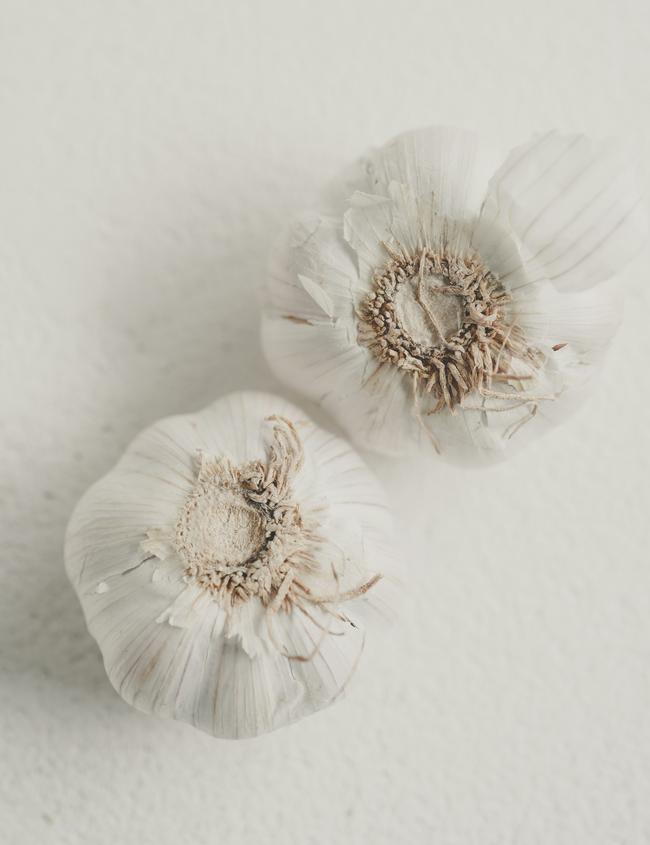 Parasiten im Körper erkennen und ganzheitlich behandeln