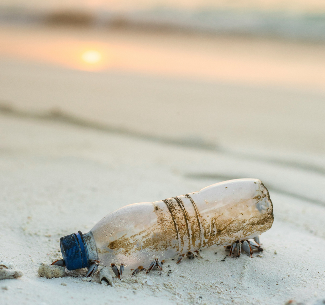 Unterstützung bei Mikroplastik-Belastung