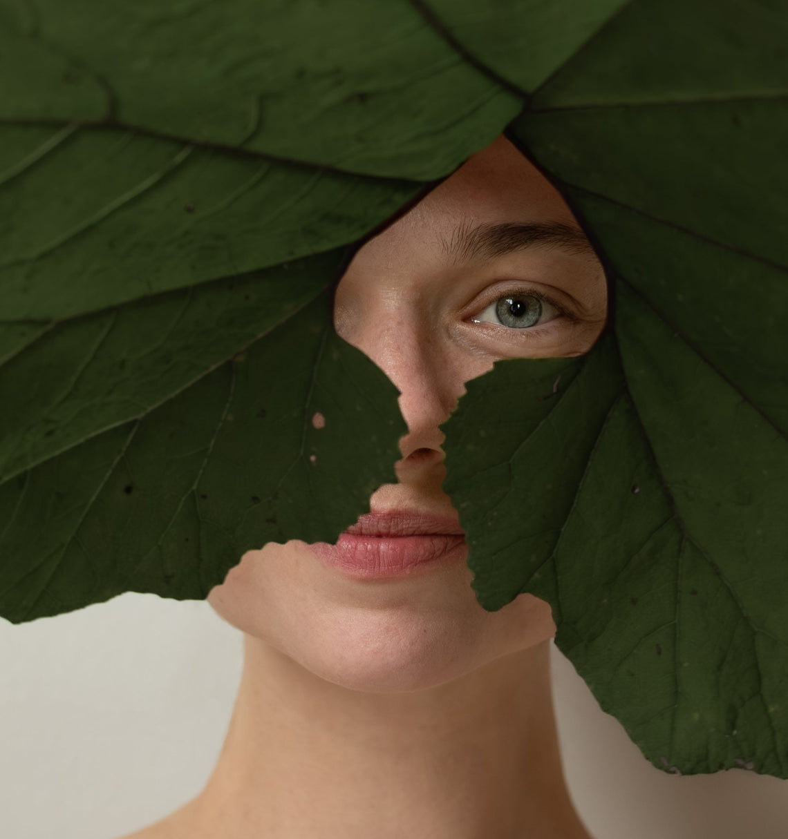 Augen