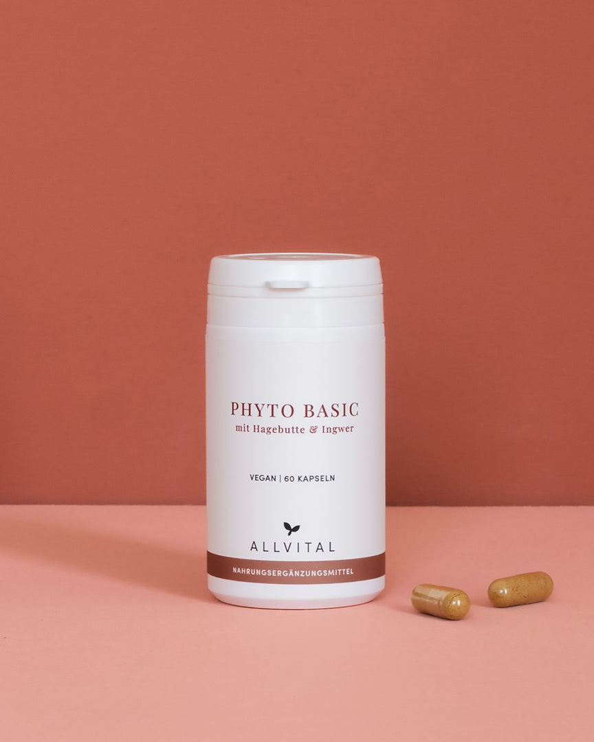 Allvital Phyto Basic mit Hagebutte und Ingwer. Hagebutte unterstützt ein gesundes Immunsystem und eine gesunde Verdauung.