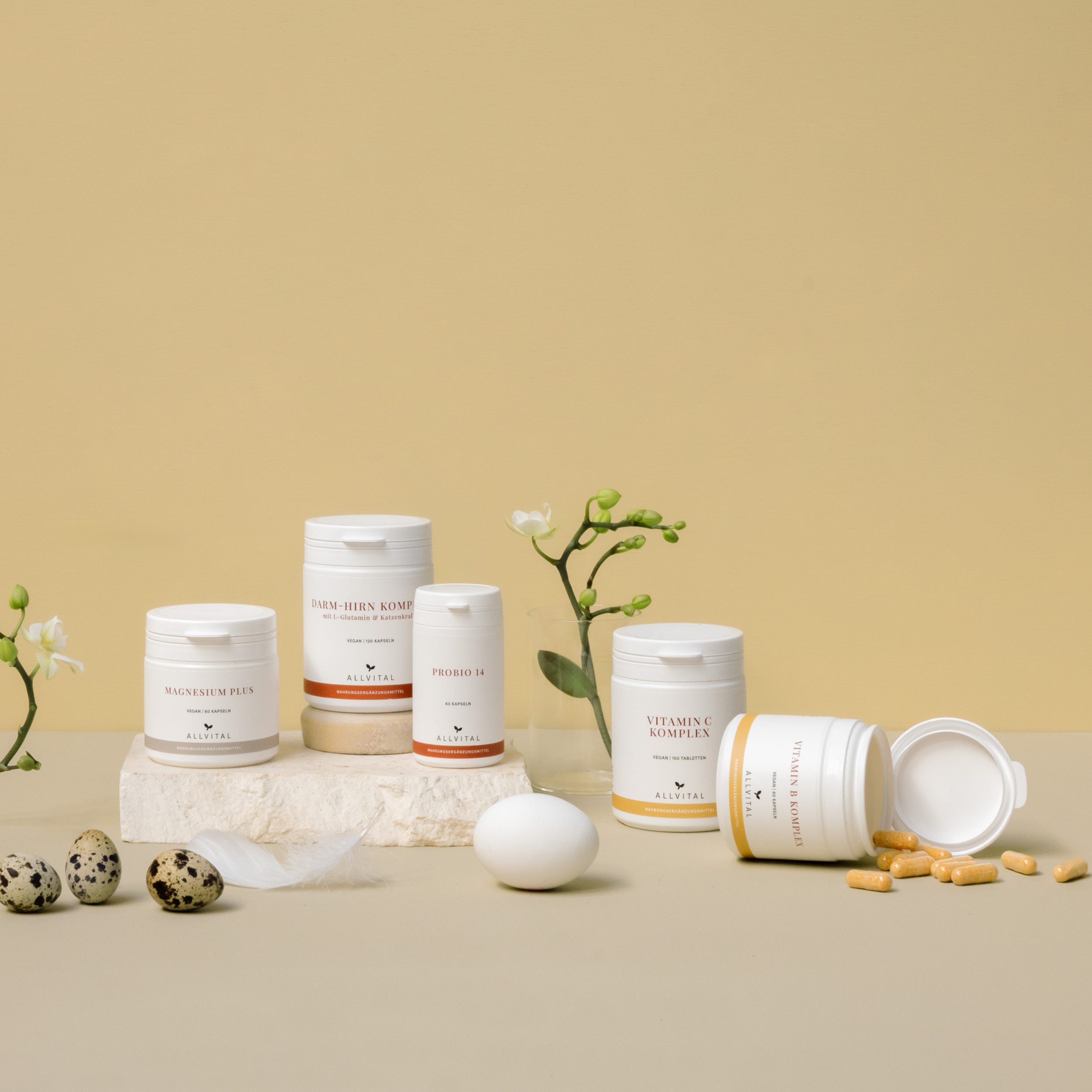 Allvital Frühlingsbild Quadratisch