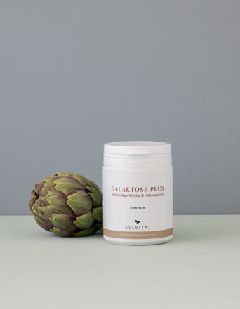 Galaktose Plus