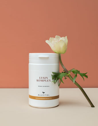 Lysin Komplex