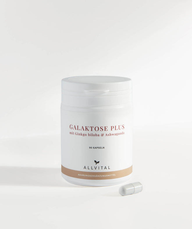 Allvital Galaktose Plus in Kombination mit B-Vitaminen und ganzheitlichem Kräuterkomplex mit Ginkgo biloba und Ashwaganda. Für ein gesundes Nervensystem und eine gesunde Psyche.