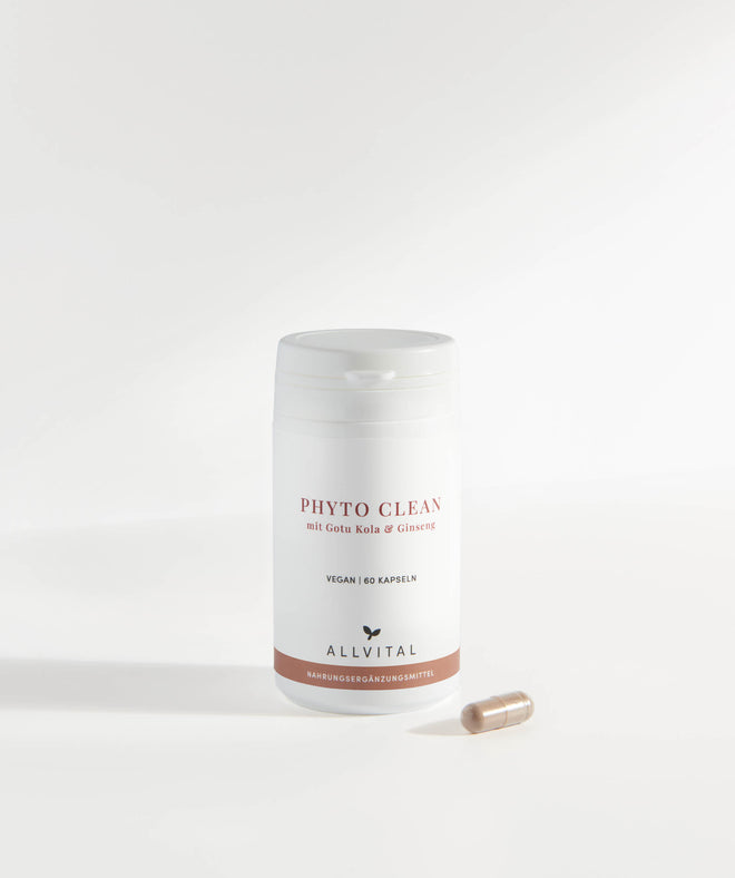 Allvital Phyto Clean enthält adaptogene Pflanzen wie Gotu Kola und Ginseng, welche immunstärkend wirken und die geistige Leistungsfähigkeit und Konzentration verbessern. 