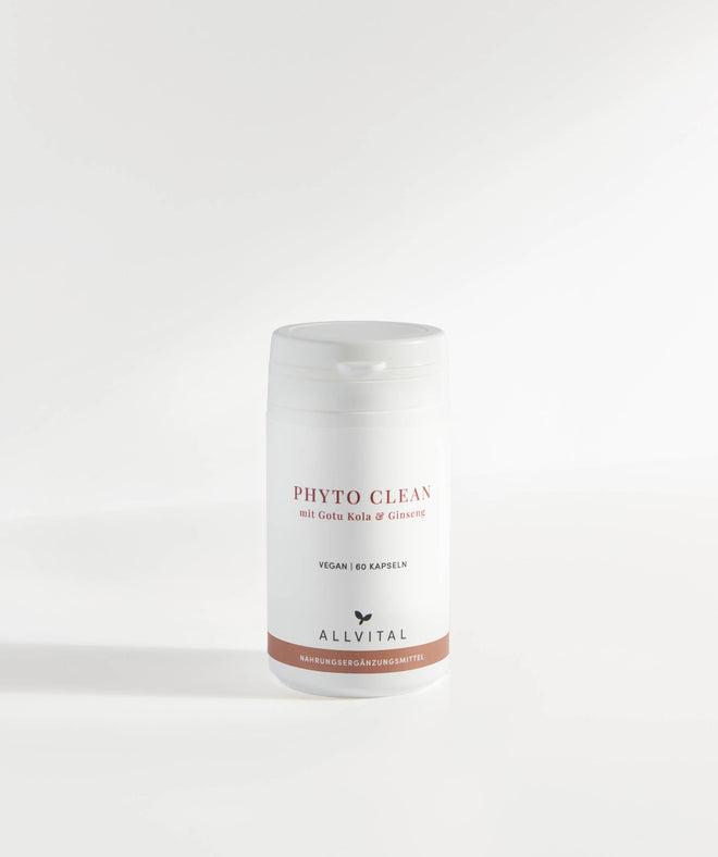 Allvital Phyto Clean enthält adaptogene Pflanzen wie Gotu Kola und Ginseng, welche immunstärkend wirken und die geistige Leistungsfähigkeit und Konzentration verbessern. 